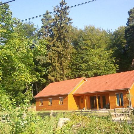 Vosges Chambres D'Hotes Jeanmenil Kültér fotó