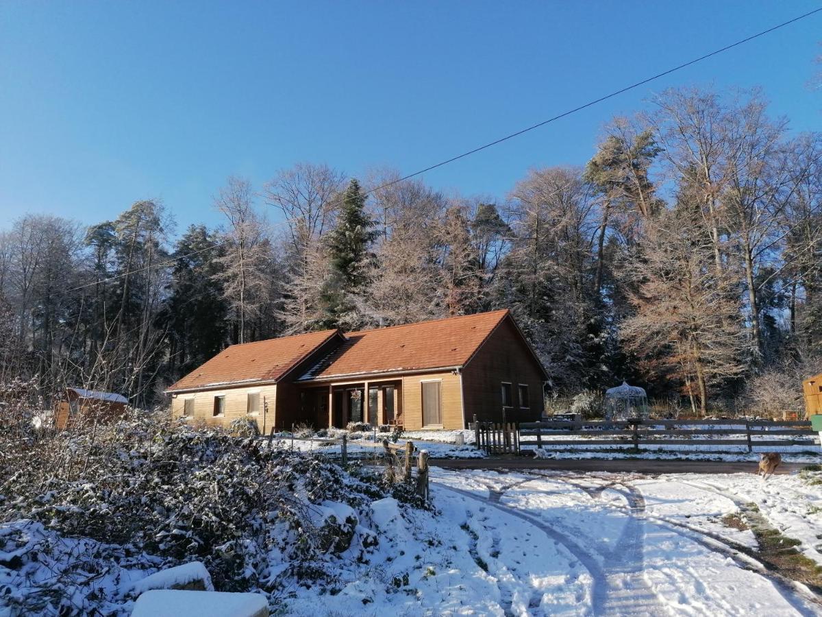 Vosges Chambres D'Hotes Jeanmenil Kültér fotó